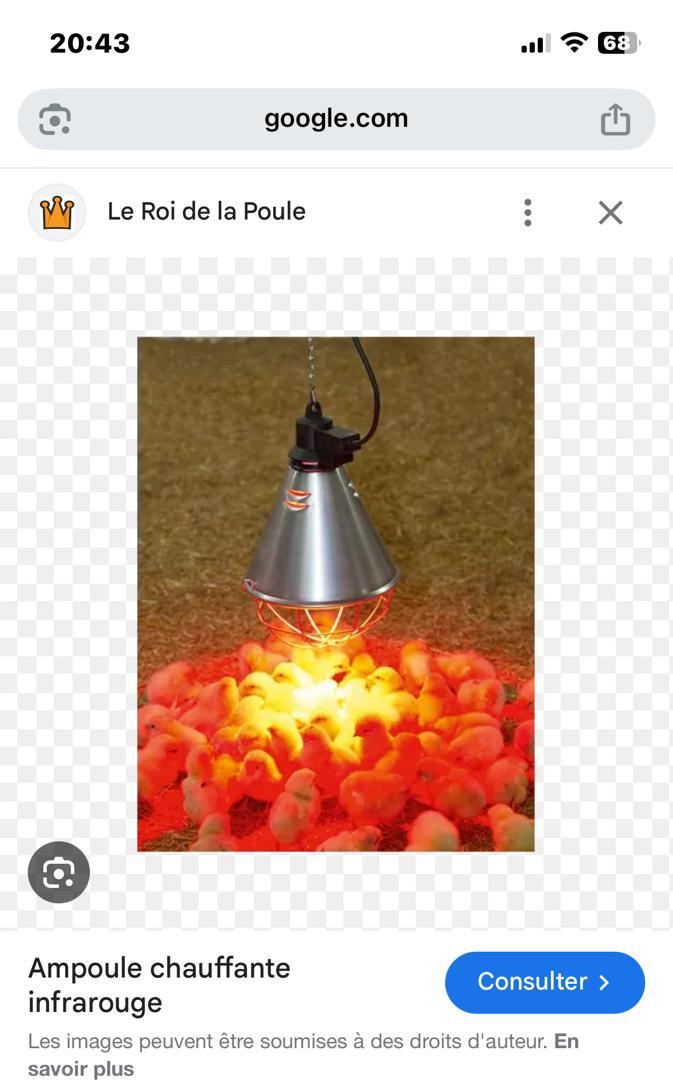 Lampe Chauffante Premium